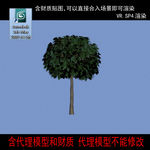 代理树