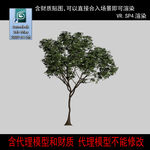树模型
