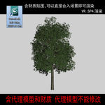 树模型