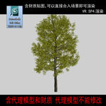 树模型