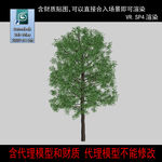 树模型