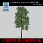 树模型