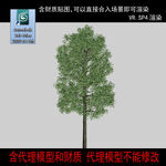 树模型