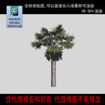 树模型