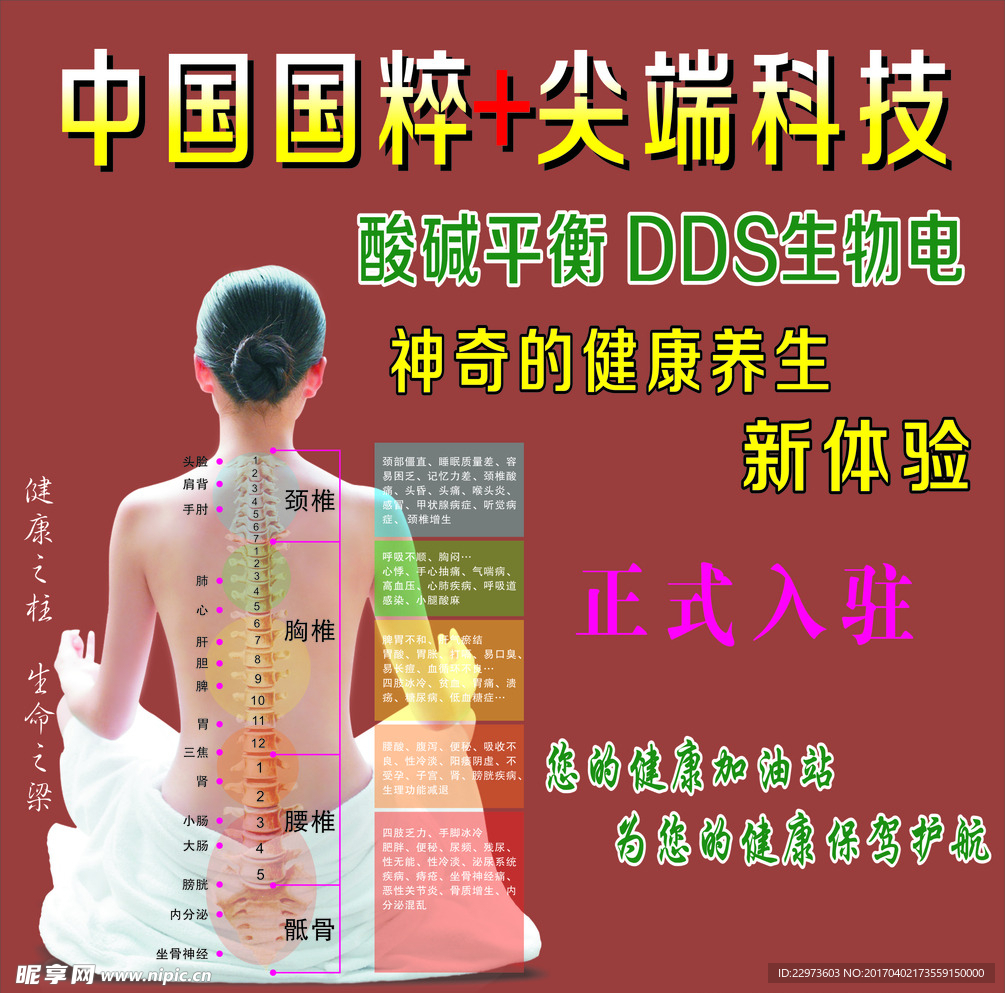 DDS生物电