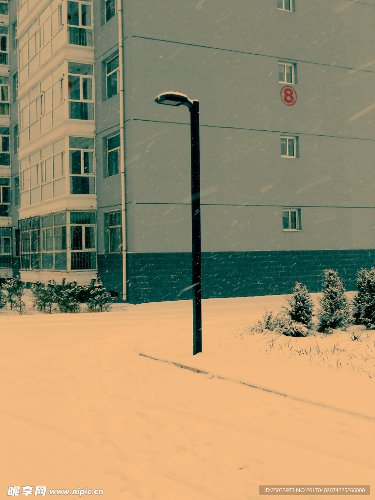 雪花飘