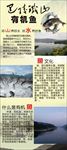 巴陵铁山有机鱼展架