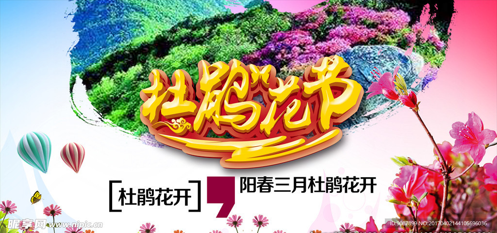 杜鹃花 英山  五彩杜鹃
