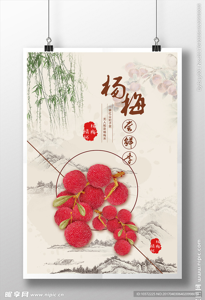 新鲜杨梅活动促销宣传展板设计