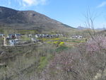 山村春景