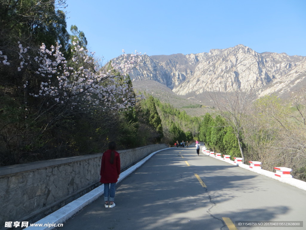 嵩阳景区风光