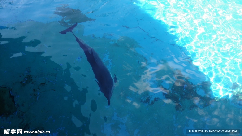 海洋馆