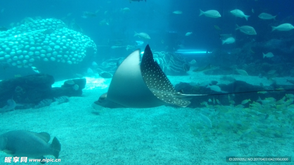 海洋馆