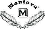 mantova标志