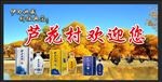 伊力典藏海报
