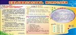 公安部五条禁令板报