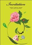美丽的玫瑰花