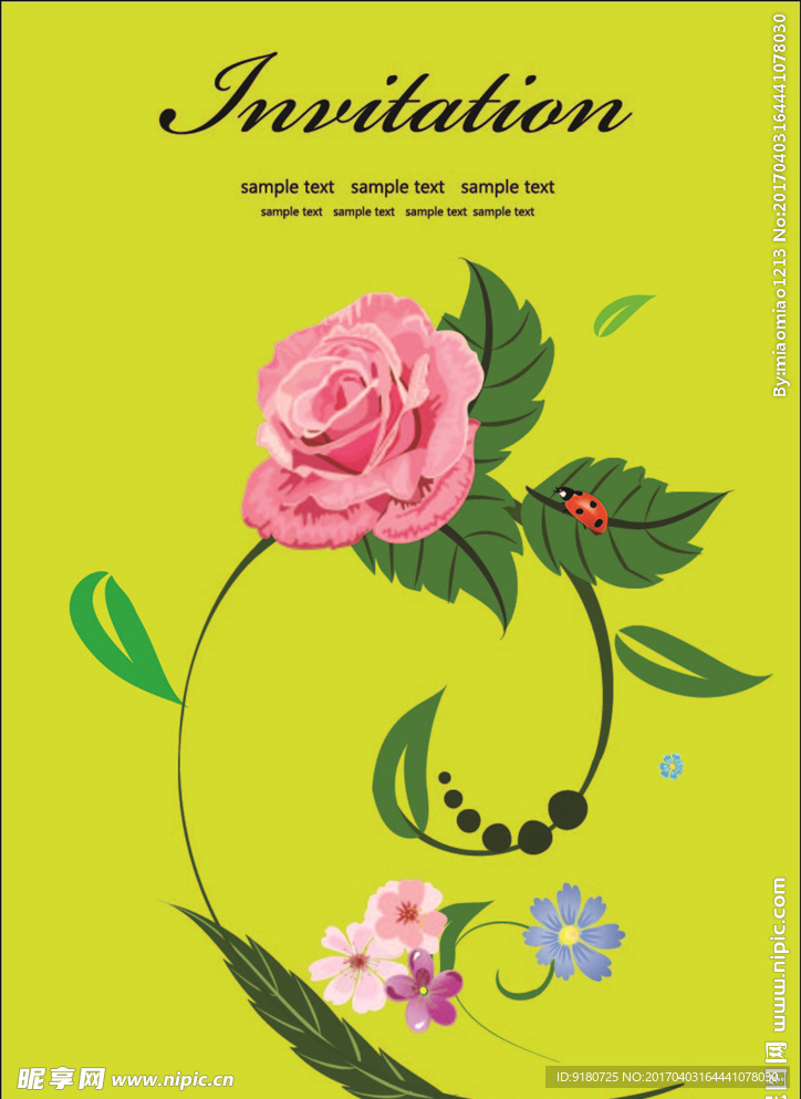 美丽的玫瑰花