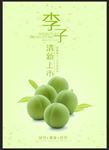 李子清新上市