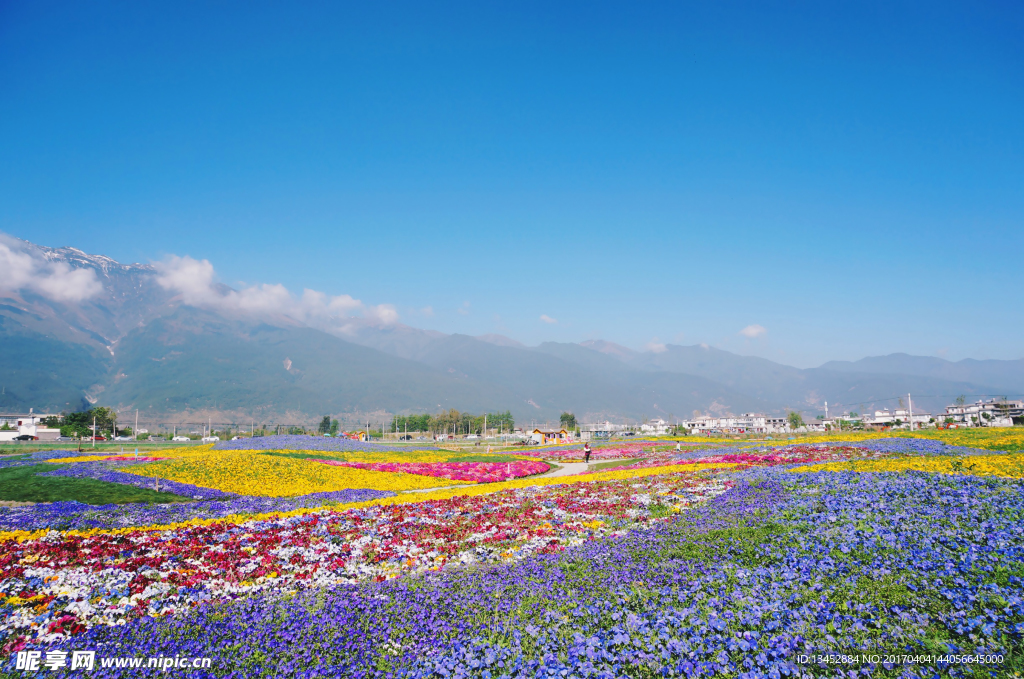 花海