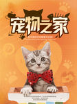 宠物之家