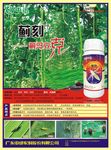 阿维菌素单页