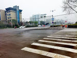 雨后春景 路面