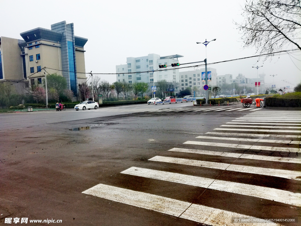 雨后春景 路面