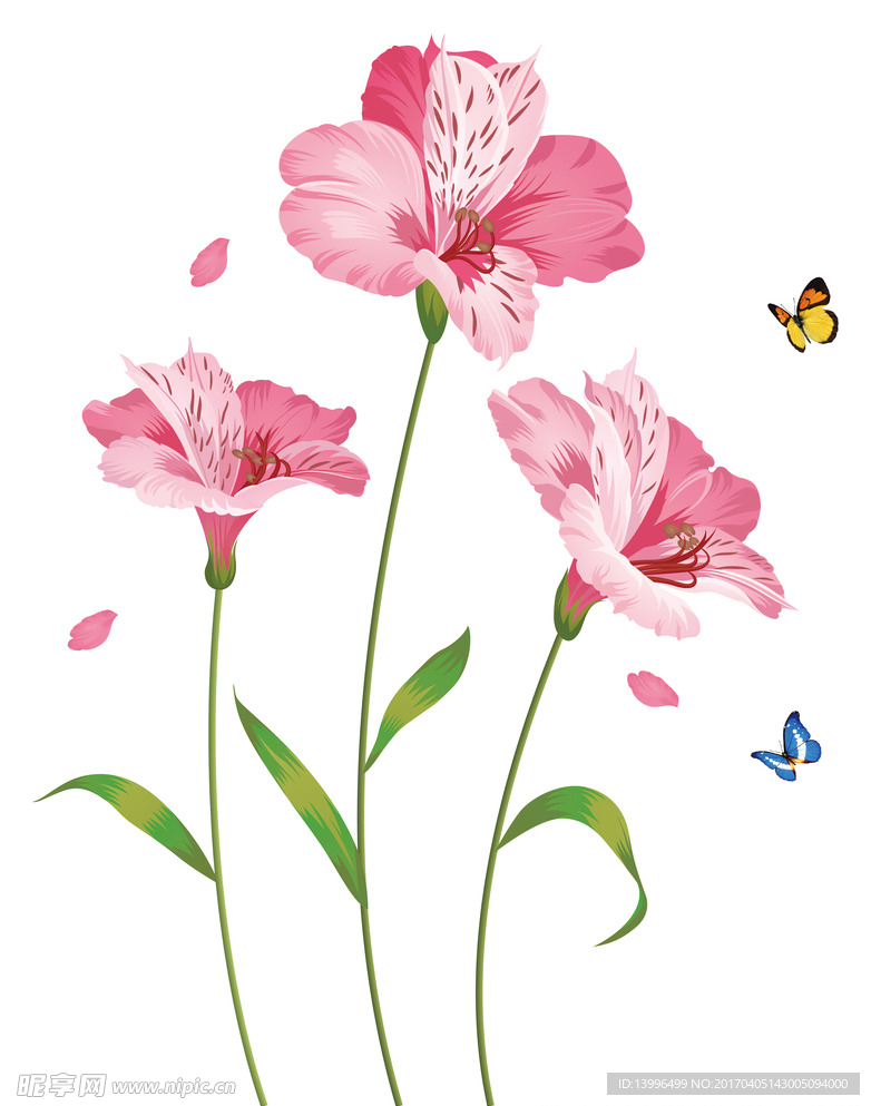粉色花卉
