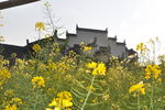 美丽乡村