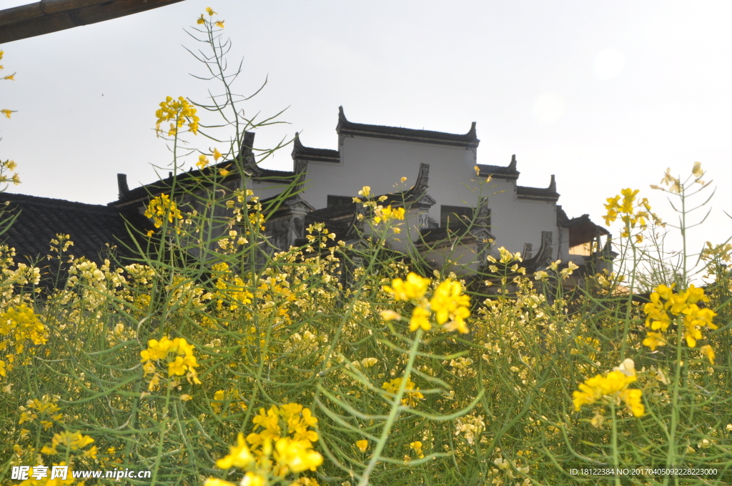 美丽乡村