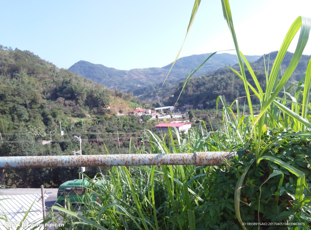 山村高山