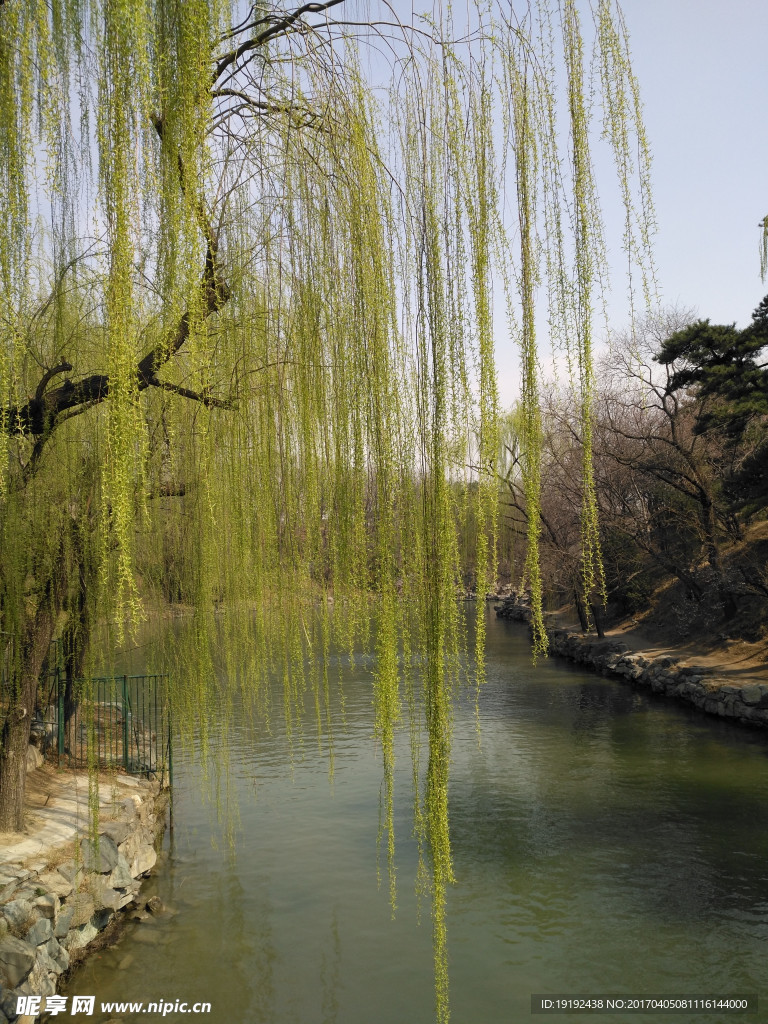 颐和园风景