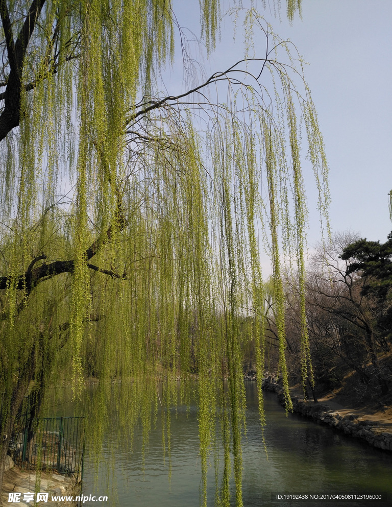 颐和园风景