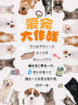 宠物店促销