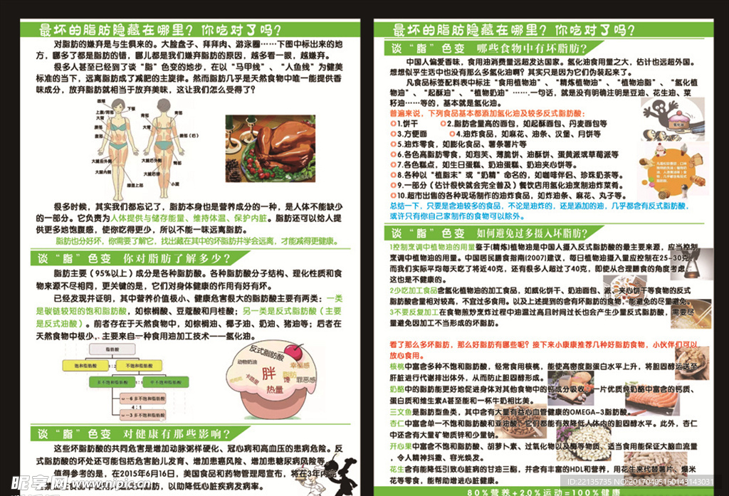 营养减肥 脂肪隐藏