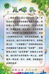小学足球队社团