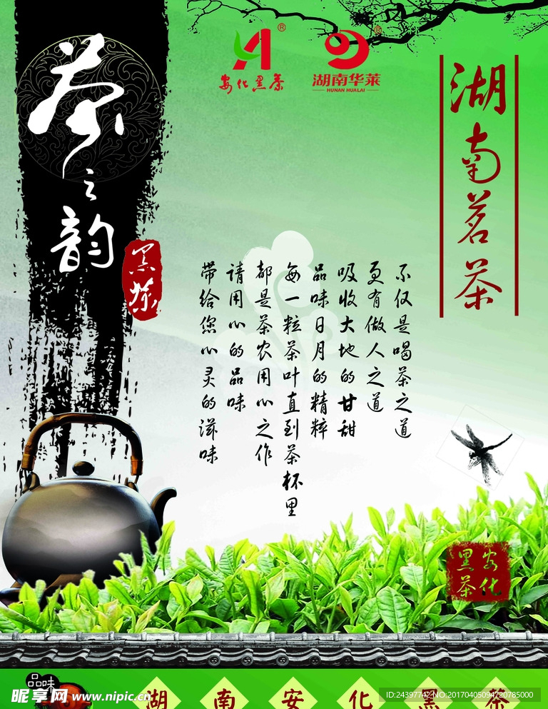 华莱 湖南 安化 黑茶 茶叶