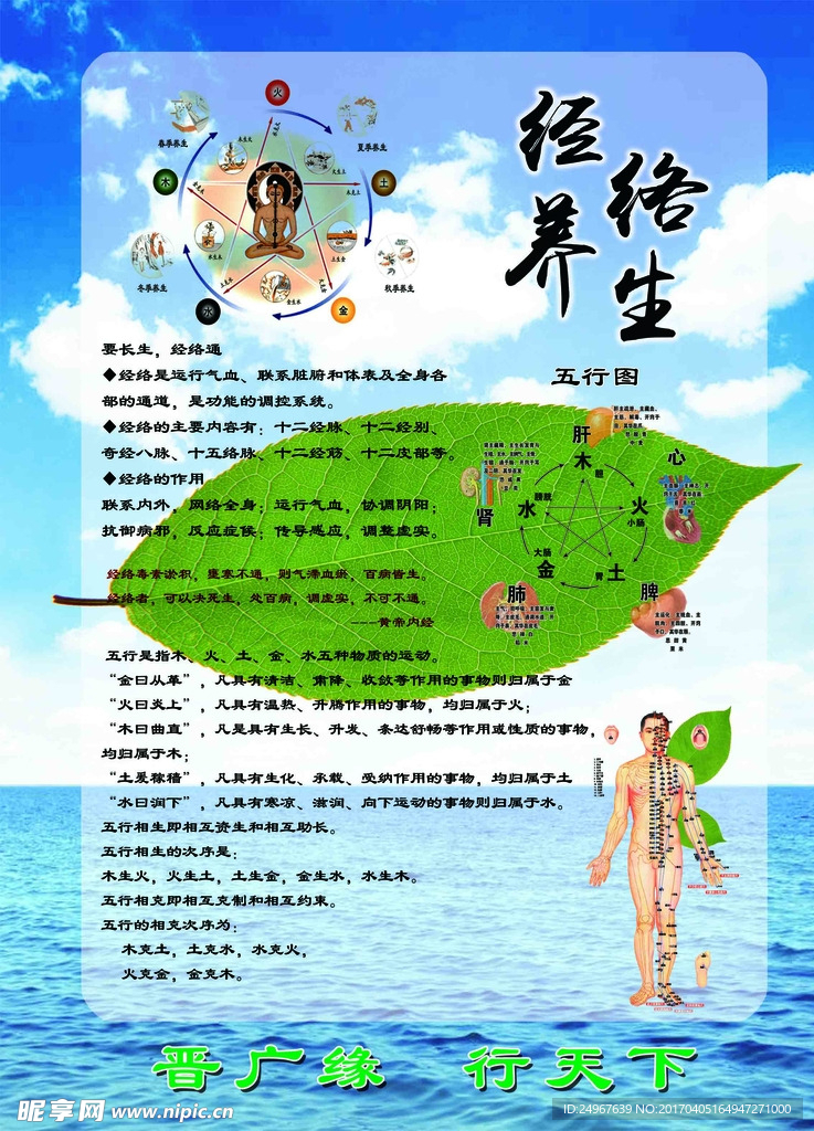 经络养生展板