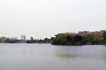 公园