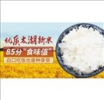 大米banner