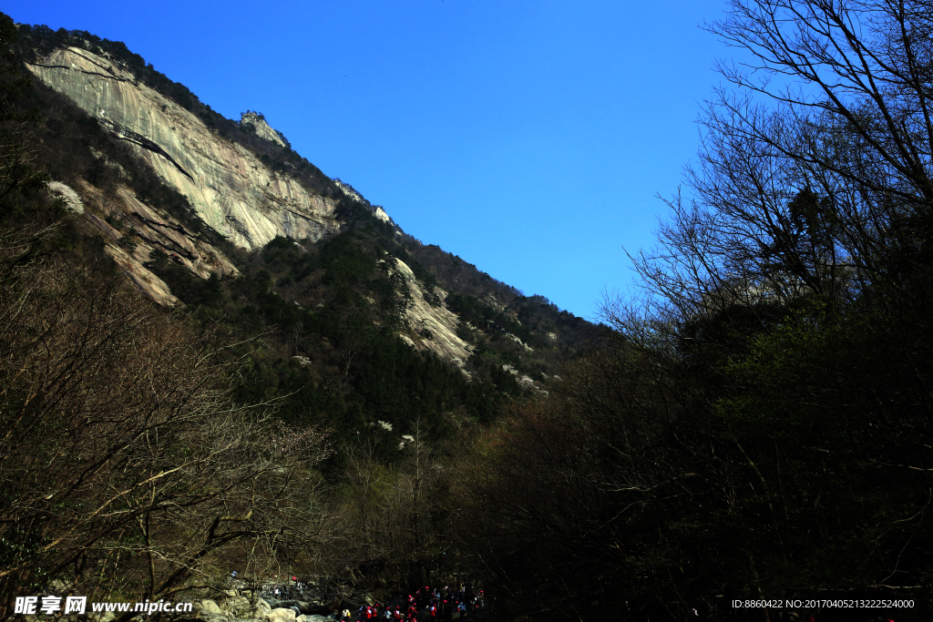 天堂寨山坡