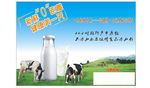奶牛