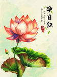 手绘荷花