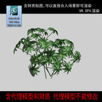 灌木