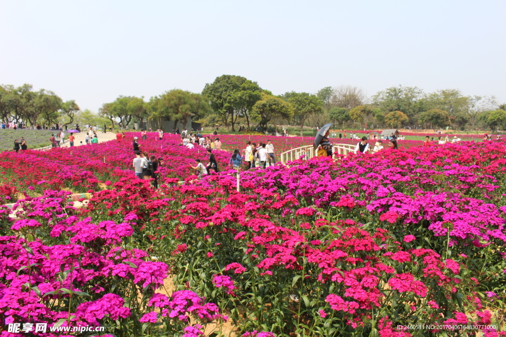 松山湖百花洲