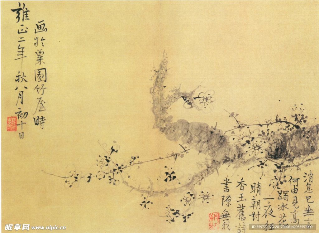 国画 梅花