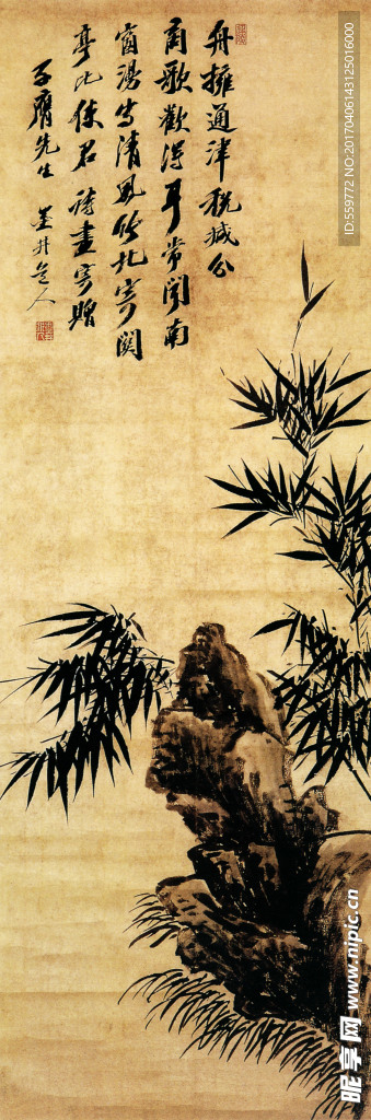 国画 石竹