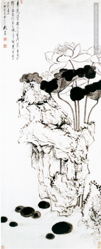 国画 荷