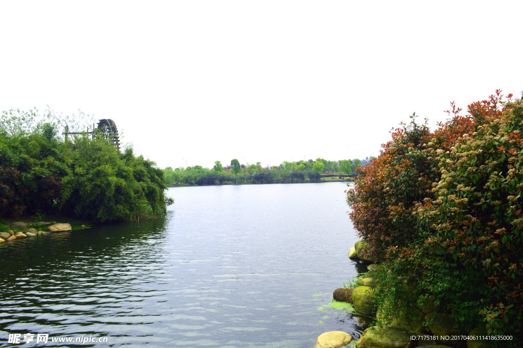 公园 湖水